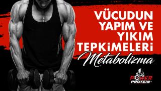 Metabolizma