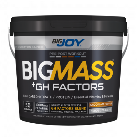 BİG JOY BİG MASS + GH FACTORS 5000 GR (Çikolata)